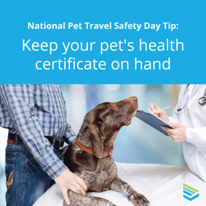 pet-travel-safety-tip-10-thumbnail