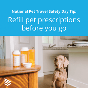 pet-travel-safety-tip-15-thumbnail