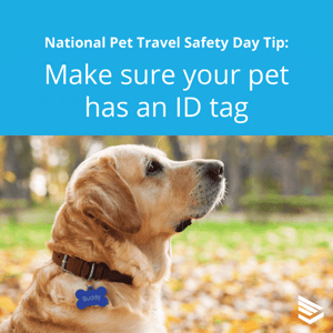 pet-travel-safety-tip-3-thumbnail