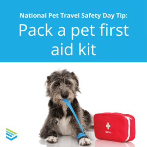 pet-travel-safety-tip-7-thumbnail