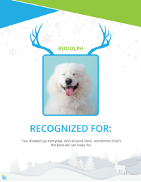 Reindeer Recognition Flyer